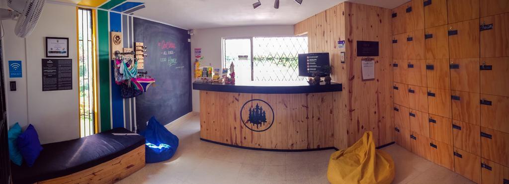 Blackpine Hostel Medellin Exterior photo