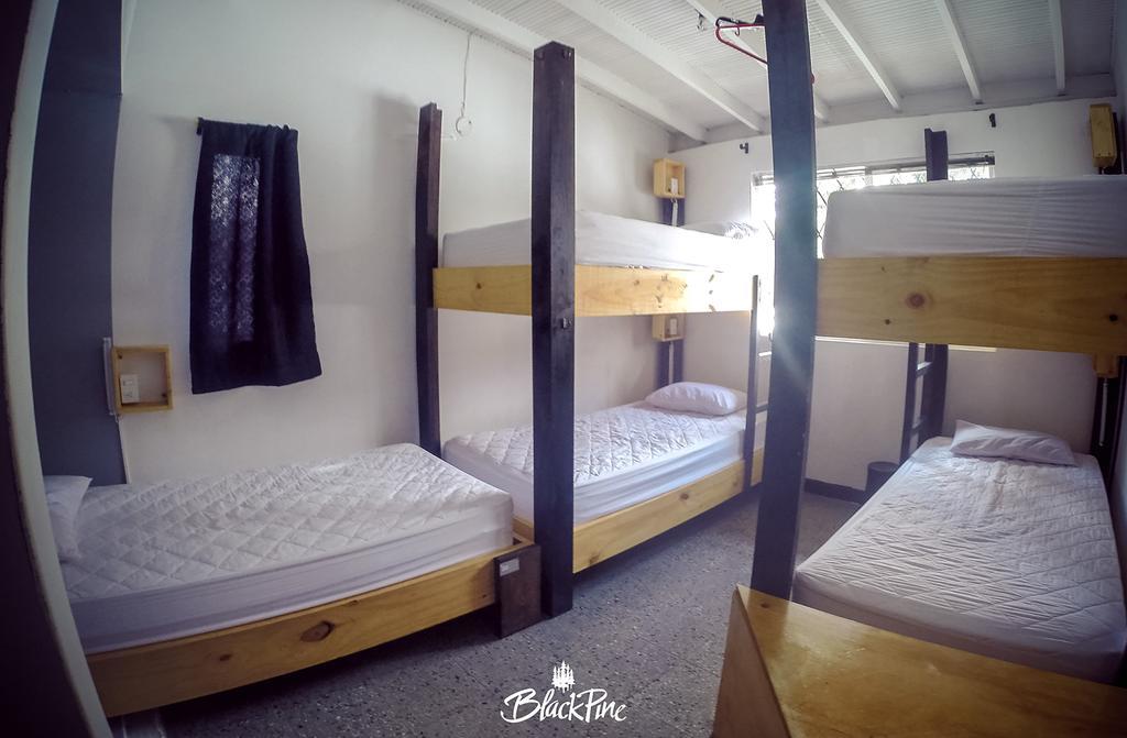 Blackpine Hostel Medellin Exterior photo
