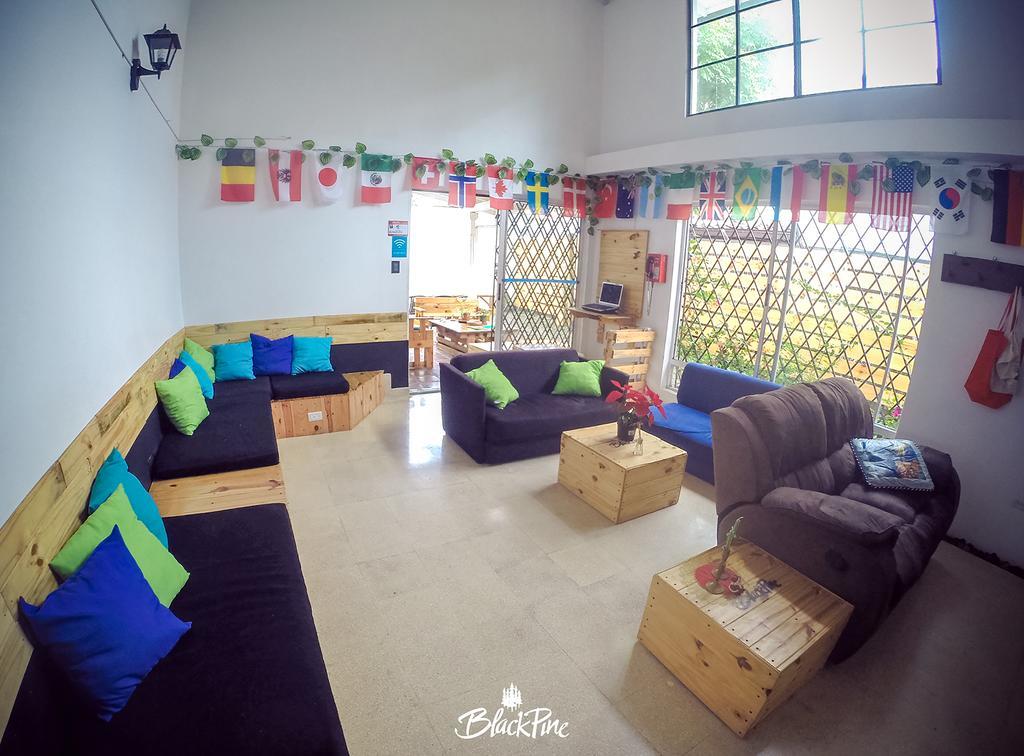 Blackpine Hostel Medellin Exterior photo