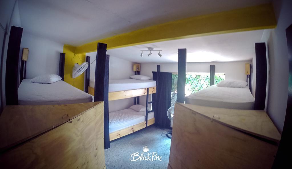 Blackpine Hostel Medellin Exterior photo