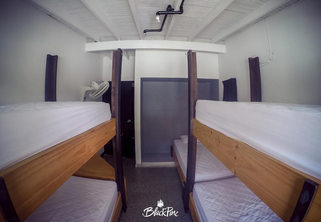 Blackpine Hostel Medellin Exterior photo
